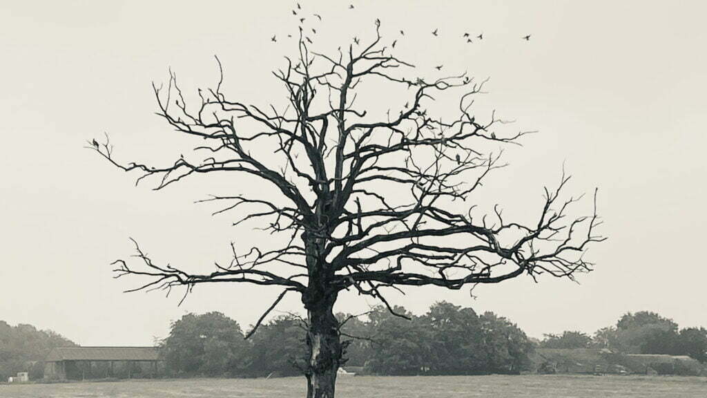 Eternal life or death