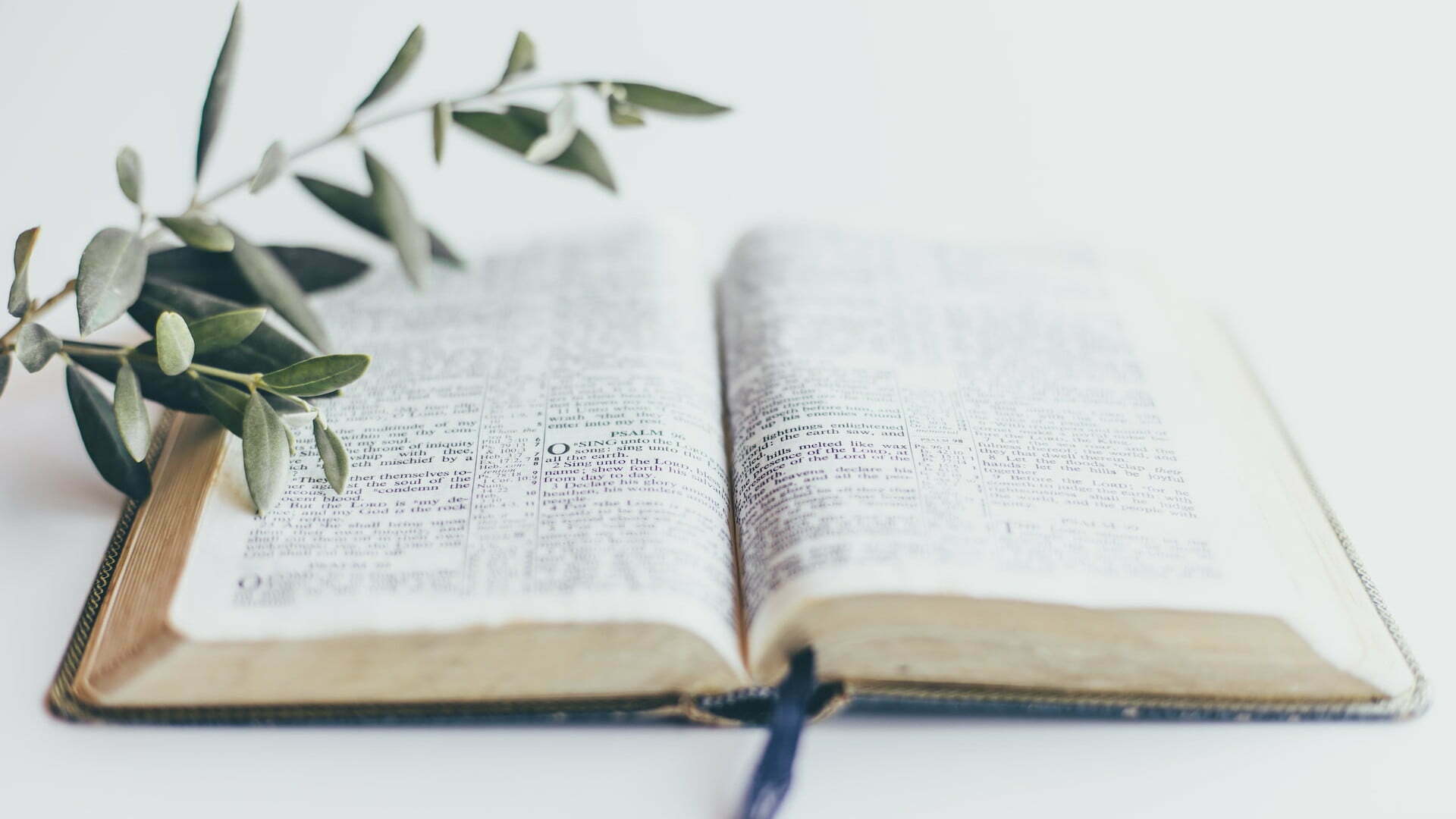 Is the Bible 100% Trustworthy and Verifiably True?