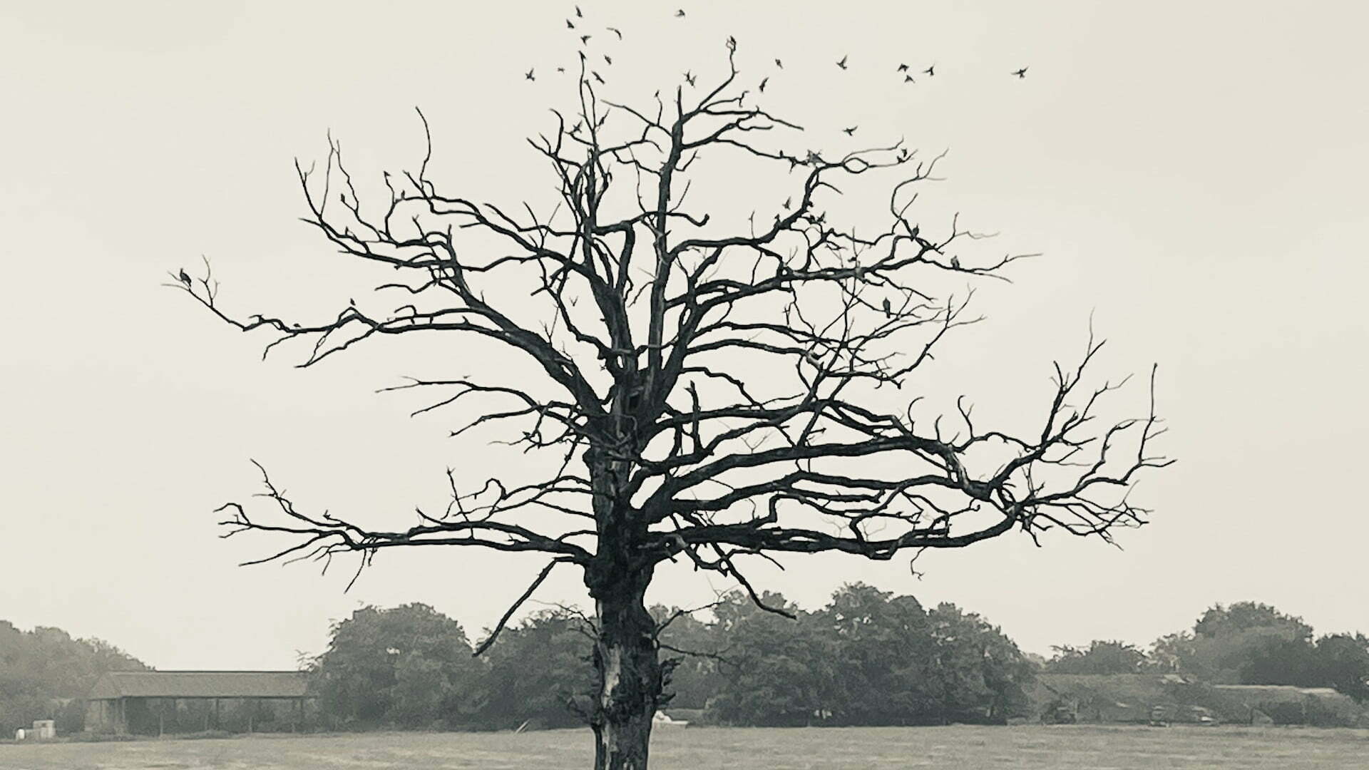 When Death Calls, Will You Have Peace?