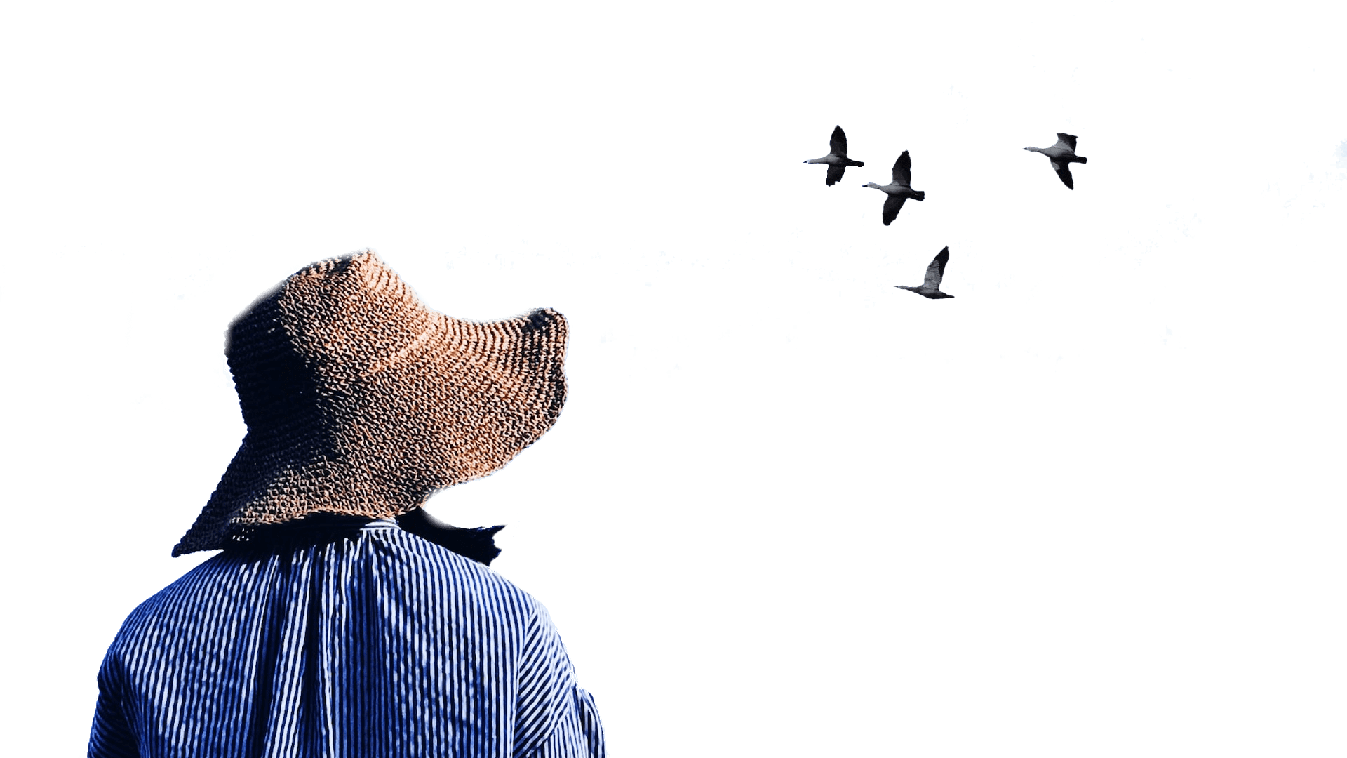 Only the 1 True Jesus Can Save